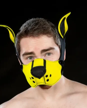 Mr S Leather Neoprene K9 Muzzle Yellow