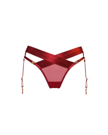 Signature Panelled Suspender Brief
