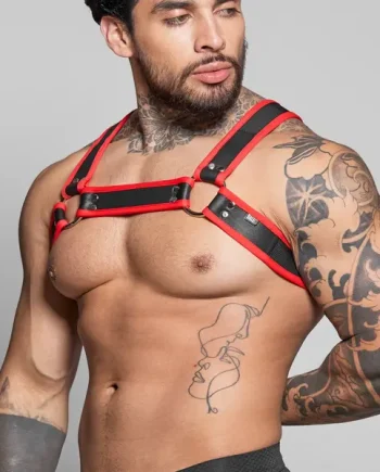 Dale Mas Biker + Harness Black Red