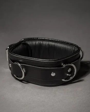 Piped Leather Collar