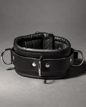 Padded Leather Collar 8cm
