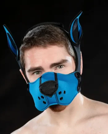 Mr S Leather Neoprene K9 Ears Cobalt