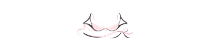 Lace Boudoir | Lingerie and intimate apparel